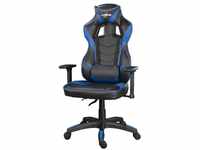 Gaming Stuhl, 3D-Armlehne, Kopf- und Rückenkissen, schwarz/blau (00096020)