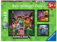 Puzzle Minecraft Biomes