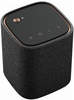 WS-B1A carbon grau Bluetooth-Lautsprecher