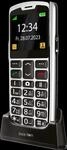 SL260 2G silver-black Handy