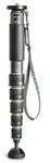 Gitzo GM4562 Monopod Series 4 Carbon 6 Sektionen