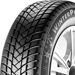 GT-RADIAL WINTERPRO2 195/65R15 91T BSW, Nasshaftung: B