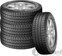 GOODYEAR VECTOR 4SEASONS CARGO 195/70R15C 104/102S, Nasshaftung: B