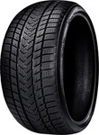 GRIPMAX SUREGRIP PRO WINTER 255/40R19 100V XL BSW, Nasshaftung: C