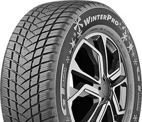 GT-RADIAL WINTERPRO2 205/55R17 95H XL BSW, Nasshaftung: B