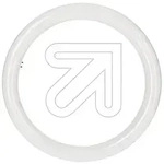 OSRAM SUBSTITUBE T9 32W G10q 4000K 2000lm