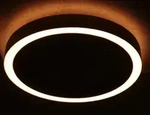 Steinhauer LED Deckenleuchte RINGLUX, 2-flammig, 30 + 6W, 2700K, 3000 + 600lm,...