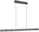 Paul Neuhaus Pure Moto-Rise 2545 LED-Pendelleuchte-Platin