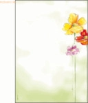 Sigel Designpapier Spring Flowers A4 90g/qm VE=50 Blatt