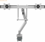 Fellowes Monitorarm Eppa Crossbar silber 8 kg mit Tischklemme