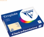 5 x Clairefontaine Kopierpapier 1787PC A4 80g chamois 500 Blatt