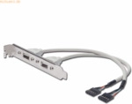 Assmann DIGITUS USB 2.0 Slotblechkabel, 2x Typ A - 2x IDC, 0.25m