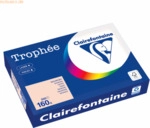 4 x Clairefontaine Kopierpapier 1104PC A4 160g lachs 250 Blatt