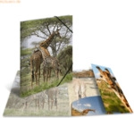 HERMA Sammelmappe Glossy Tiere A4 PP Giraffe