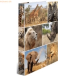 3 x HERMA Ringbuch A4 Karton 4 Ringe Afrika Tiere