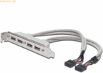 Assmann DIGITUS USB Slotblechkabel, 4x Typ A-2x10pin IDC Bu/Bu 0.25m