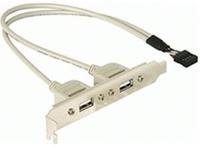 Delock Delock Slotblech intern USB 9pin zu 2x USB2.0 extern