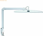 Maul LED-Leuchte Maulwork dimmbar wei&szlig;