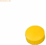 Maul Rundmagnet Solid 15 mm 0,15 kg Haftkraft 10 St&uuml;ck gelb