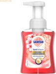 Sagrotan Schaumseife Kirschbl&uuml;te & Rose 3167268 250ml