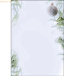 Sigel Designpapier Weihnachten A4 90g/qm 100 Blatt Winter Mood