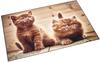 Läufer Schreibunterlage Motiv-Poster 40x53 cm Neugierige Kätzchen
