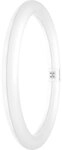 LEDVANCE GmbH Ledvance LED Tube T9 C 32 EM V 18,3W 840 G10Q 2200lm