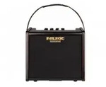 AC-25 Acoustic Amp