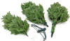 Evergreen Künstlicher Weihnachtsbaum Nobilis Kiefer | Inkl. LEDs & Kunstschnee 