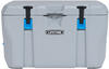 Lifetime Kunststoff Kühlbox Premium 73 Liter | Grau | 47x76x47 cm