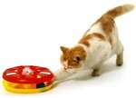 Katzenspielzeug - Kitty Round about mit Catnip, ca. 24 cm