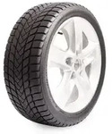 225/45 R17 94V Winter Lander