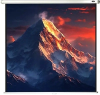 celexon 1090252, Celexon Rollo Economy Leinwand Format 1:1, 200 x 200 cm