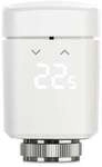 Eve Thermo (Homekit)