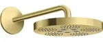 hansgrohe Axor One Kopfbrause 48491950 mit Brausearm, 1jet, brushed brass
