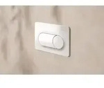 hansgrohe iFrame Original S Bet&auml;tigungsplatte 66002450 f&uuml;r 2-Mengen-Sp&uuml;lung,