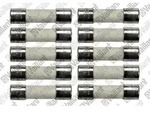Vaillant Sicherung, 2,0 A T2H (10 St.) 0020067507 Vaillant-Nr. 0020067507
