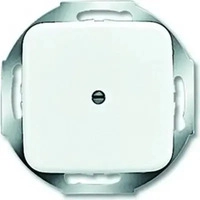 Busch-Jaeger 2CKA001710A0110, Busch-Jaeger Zentralscheibe Leitungsauslass,