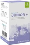 Lactobact JUNIOR + Pulver Monatskur