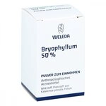 Bryophyllum 50% Pulver zum Einnehmen