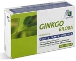 Ginkgo 100 mg + Vitamine C, E, B1 und Fols&Atilde;&curren;ure Kapseln