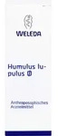 Humulus Lupulus Urtinktur