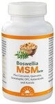 Dr. Jacob's Boswellia MSM forte Weihrauch Quercetin OPC