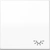 1St. Jung AS591LWW Wippe mit Symbol Licht Alpinweiß AS 591 L WW