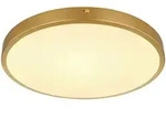 Globo Led-Deckenleuchte, Opal, Messing, Metall, Kunststoff, 270 mm, rund,rund, F,