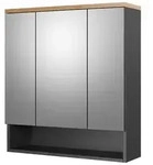 Vicco Badspiegelschrank, Anthrazit, Holzwerkstoff, 10 F&auml;cher, Rechteckig,