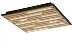 Paul Neuhaus Led-Deckenleuchte Akustik, Eiche, Holz, Metall, Eiche,