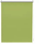 Lichtblick Original Thermo-Rollo, Gr&uuml;n, Kunststoff, 85x150 cm, Wohntextilien, Rollos