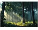 Wallarena Fototapete, Mehrfarbig, Papier, Baum/Pflanze/Natur, Rechteckig,...
