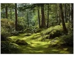 Wallarena Fototapete, Mehrfarbig, Papier, Uni, Rechteckig, 300x210 cm, FSC 100%,